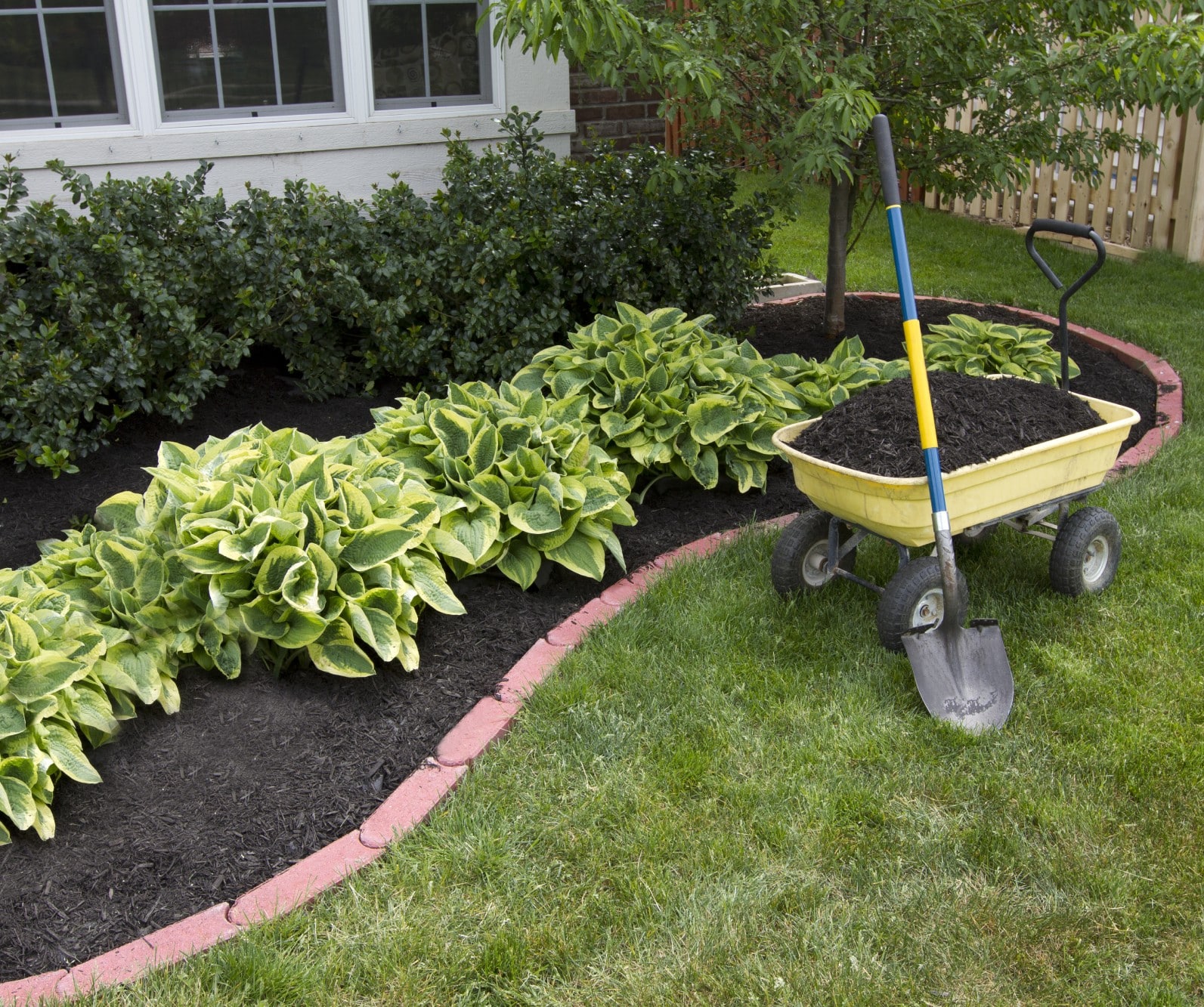 Mulching Bed Around The House And Bushes